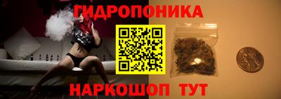 хмурый Аша