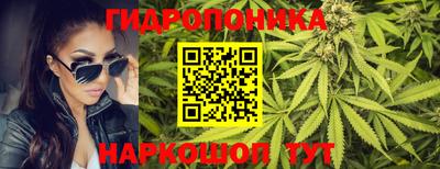 хмурый Аша